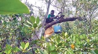 ‘আল্লাহ আল্লাহ’ চিৎকার দিতেই দাঁড়িয়ে যান সবাই