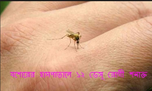 যশোরের হাসপাতালে ১২ ডেঙ্গু রোগী শনাক্ত