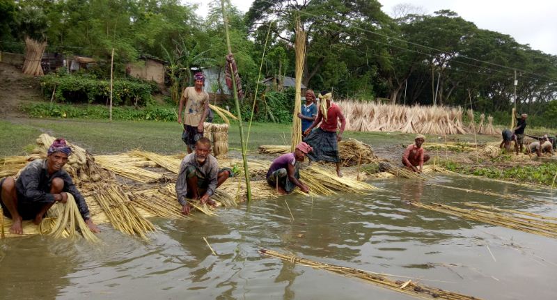 সোনালি আঁশ নিয়ে ব্যস্ত সময় পার করছেন চাষীরা