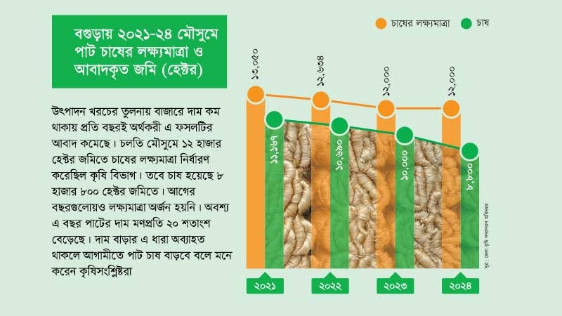 বাজার দামের নিম্নমুখিতায় পাট চাষ কমেছে বগুড়ায়