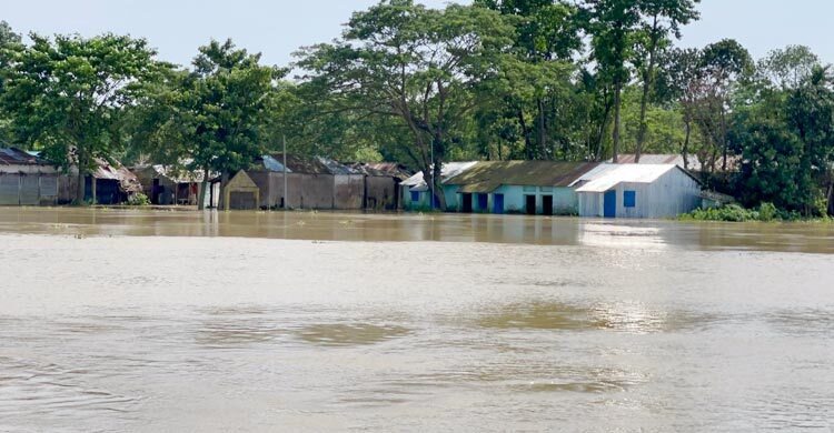 মৌলভীবাজারে বন্যায় ক্ষতিগ্রস্ত সাড়ে ৩ লাখ মানুষ