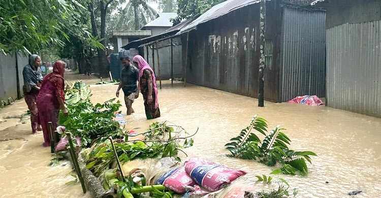 বন্যায় শেরপুরে এ পর্যন্ত ৭ জনের মৃত্যু