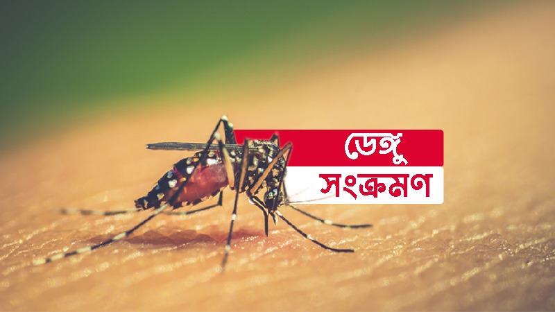 ডেঙ্গু জ্বরে মারা গেলেন আরো সাতজন